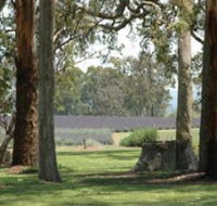 Aloomba Lavender - Accommodation Australia