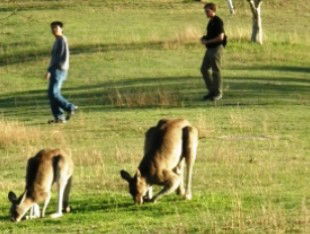 Rathdowney QLD Local Tourism