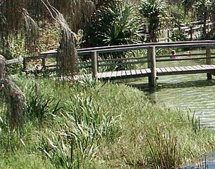 Australia Fraser Island Escape - Accommodation Australia 1