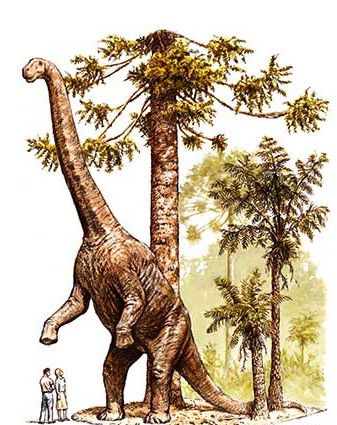 Australian Age Of Dinosaurs - Accommodation Australia 2