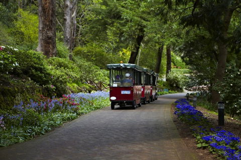 Araluen Botanic Park - Accommodation Australia 0
