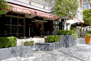 Bistro Vite - Local Tourism 0