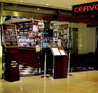Cervo - Local Tourism