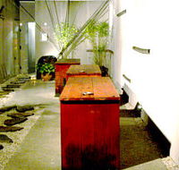 Koi - Accommodation Australia