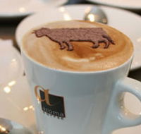 Brown Cow - Accommodation Australia