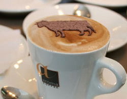 Brown Cow - Accommodation Australia 0