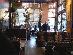 Blackcat - Accommodation Australia 1