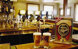 Regatta Bar - Log Cabin - Local Tourism 1