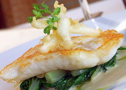 Captain Cook Tavern - Local Tourism 2