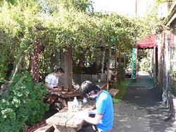 Blackcat - Accommodation Australia 3