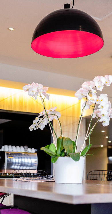 MRepublic Restaurant, Bar And Lounge - Australia Shopping 4