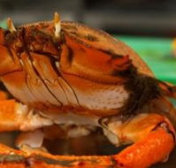 River Cottage Restaurant - Accommodation Australia