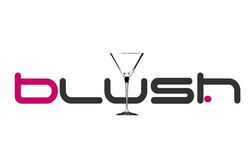 Blush Night Club - Local Tourism 0