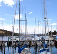 Oyster Cove Inn - Accommodation Australia