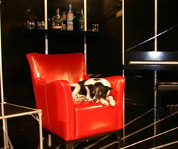 Old Fitzroy Hotel - Local Tourism 2