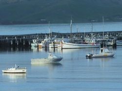 Marengo VIC Local Tourism