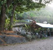 Ellis Beach Bar  Grill - Accommodation Australia