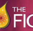 Pickled Fig - Accommodation Australia