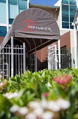 Ribaudos Ristorante - Accommodation Australia 0