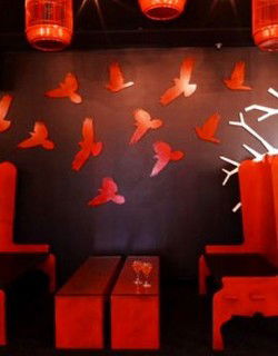 Soho Bar And Lounge - Accommodation Australia 0