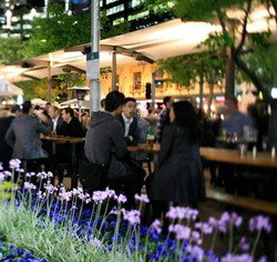 Quay Bar - Accommodation Australia 0