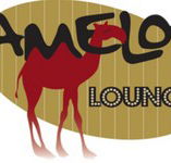 Camelot Lounge - Accommodation Australia