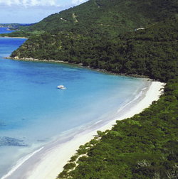 Palm Cove Tavern - Australia Shopping 1