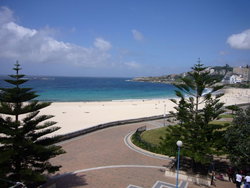 Aquarium - Bed n Breakfasts 2