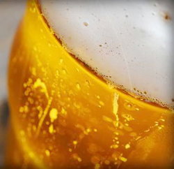 Commonwealth Hotel - Local Tourism 2