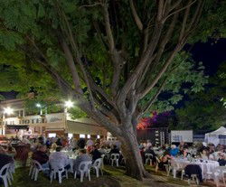 Premier Hotel - Accommodation Australia 2