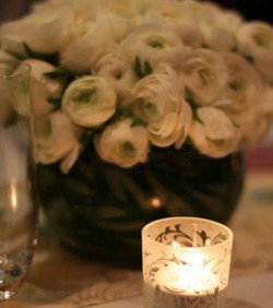 Chanterelle At Jessicas - Accommodation Australia 3