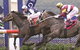 Gosford Race Club - thumb 0