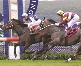 Gosford Race Club - Accommodation Australia 0