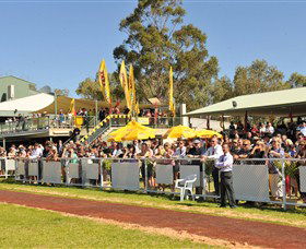 Alice Springs Turf Club - Local Tourism 5