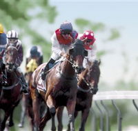 Colac Turf Club - Accommodation Australia