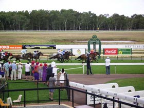Pinjarra Race Club - Local Tourism 0