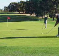Waikerie Golf Club - Accommodation Australia