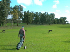 Mount Dutton Bay SA Local Tourism