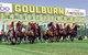 Goulburn And District Racing Club - thumb 0