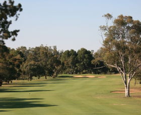 Tocumwal Golf Club - Local Tourism 1