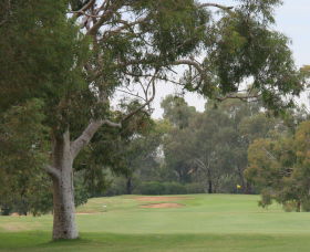 Tocumwal Golf Club - Local Tourism 2
