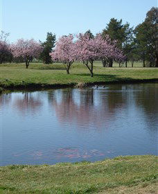 RMC Golf Club - Local Tourism 0