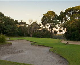 Anglesea Golf Club - Local Tourism 4