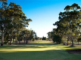 Loxton Golf Club - Accommodation Australia 0