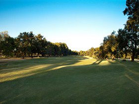 Loxton Golf Club - Accommodation Australia 2