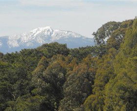 Mansfield Golf Club - Local Tourism 3