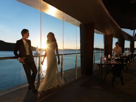 Hamilton Island Yacht Club - Local Tourism 2