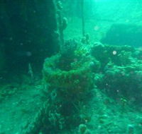 Wallaroo Scuba Club - Local Tourism