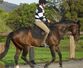 Kings Creek Saddle Club - Accommodation Australia 6