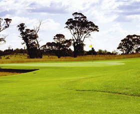 Mt Broughton Golf And Country Club - Local Tourism 0